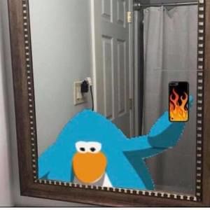 Meet your Posher, Manuel jr.